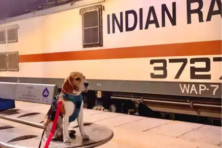 Pet Travel via Train from Vellore