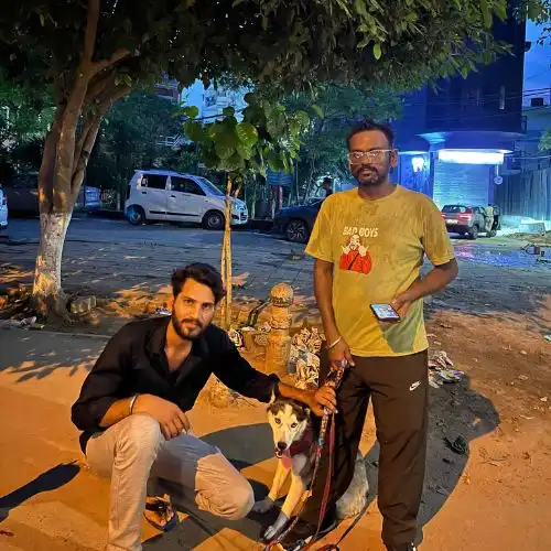 Pet Relocation Moment